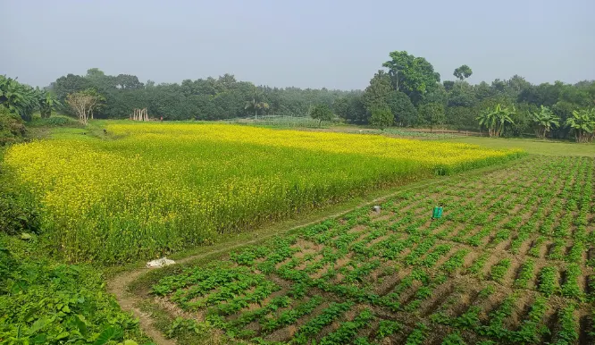 Conservation Genetics Division