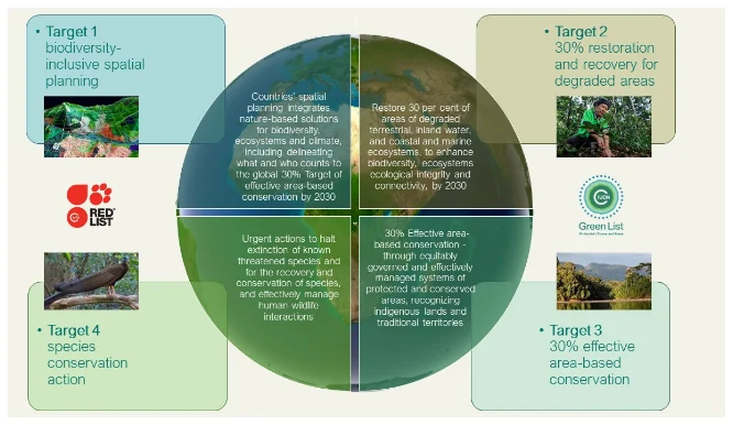 Policy & Legal Framework Division