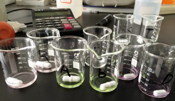 Phytochemical Analysis