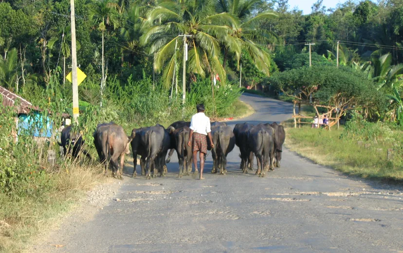 Community Rights & Governance